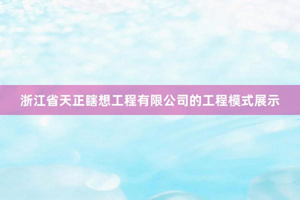 浙江省天正瞎想工程有限公司的工程模式展示