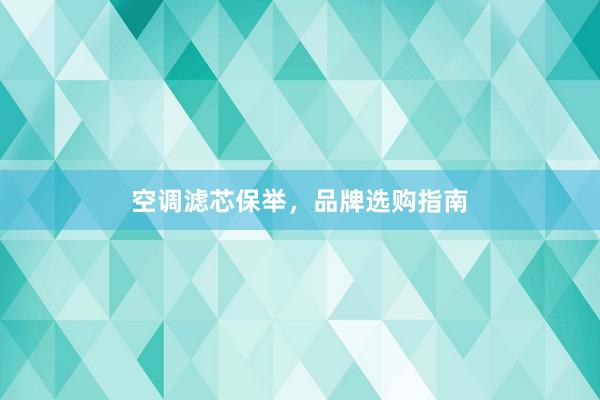 空调滤芯保举，品牌选购指南