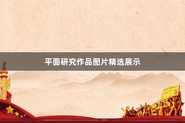 平面研究作品图片精选展示