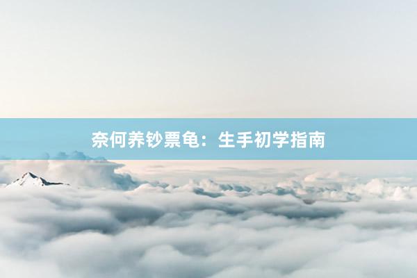 奈何养钞票龟：生手初学指南