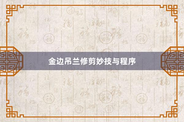 金边吊兰修剪妙技与程序